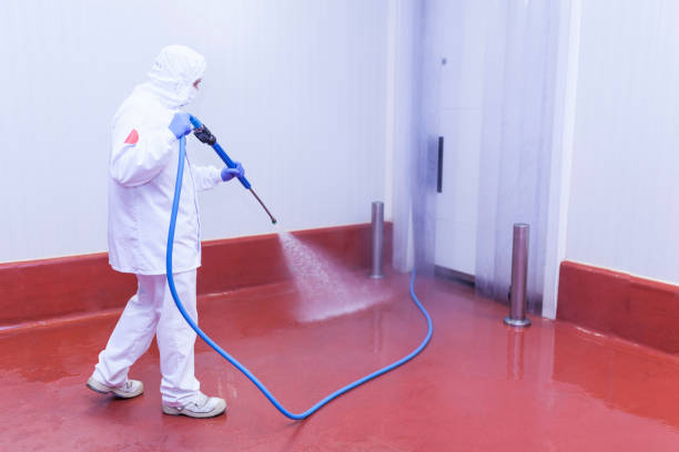 Best Residential Pressure Washing in Pecan Grove, TX